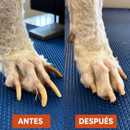 PatitaPlay™ | Tablero Rascador