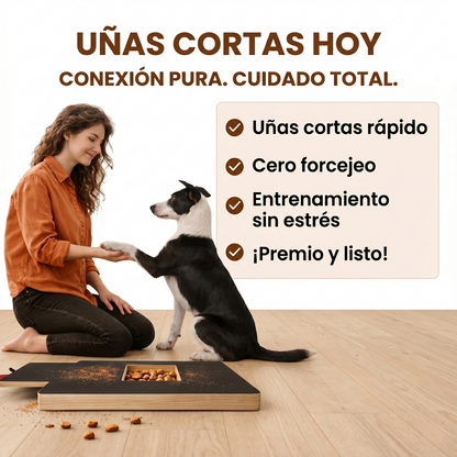 PatitaPlay™ | Tablero Rascador